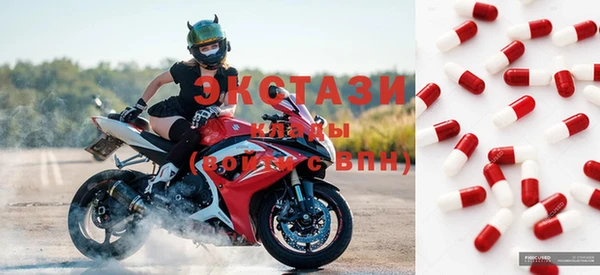 ГАЛЛЮЦИНОГЕННЫЕ ГРИБЫ Тутаев