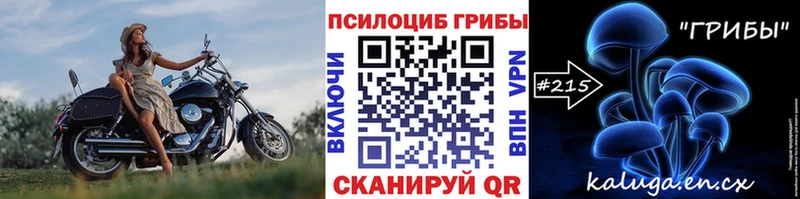 Галлюциногенные грибы Magic Shrooms  Купить где  Малаховка 